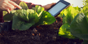 RDTI Hero Image September 2023