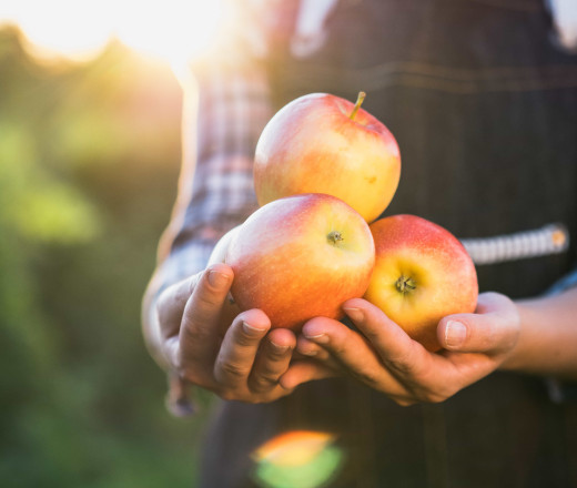 AdobeStock 235657511