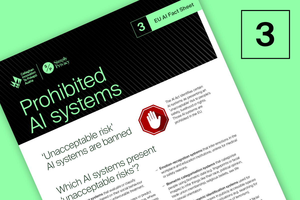 EU AI Fact Sheet thumbnail 3