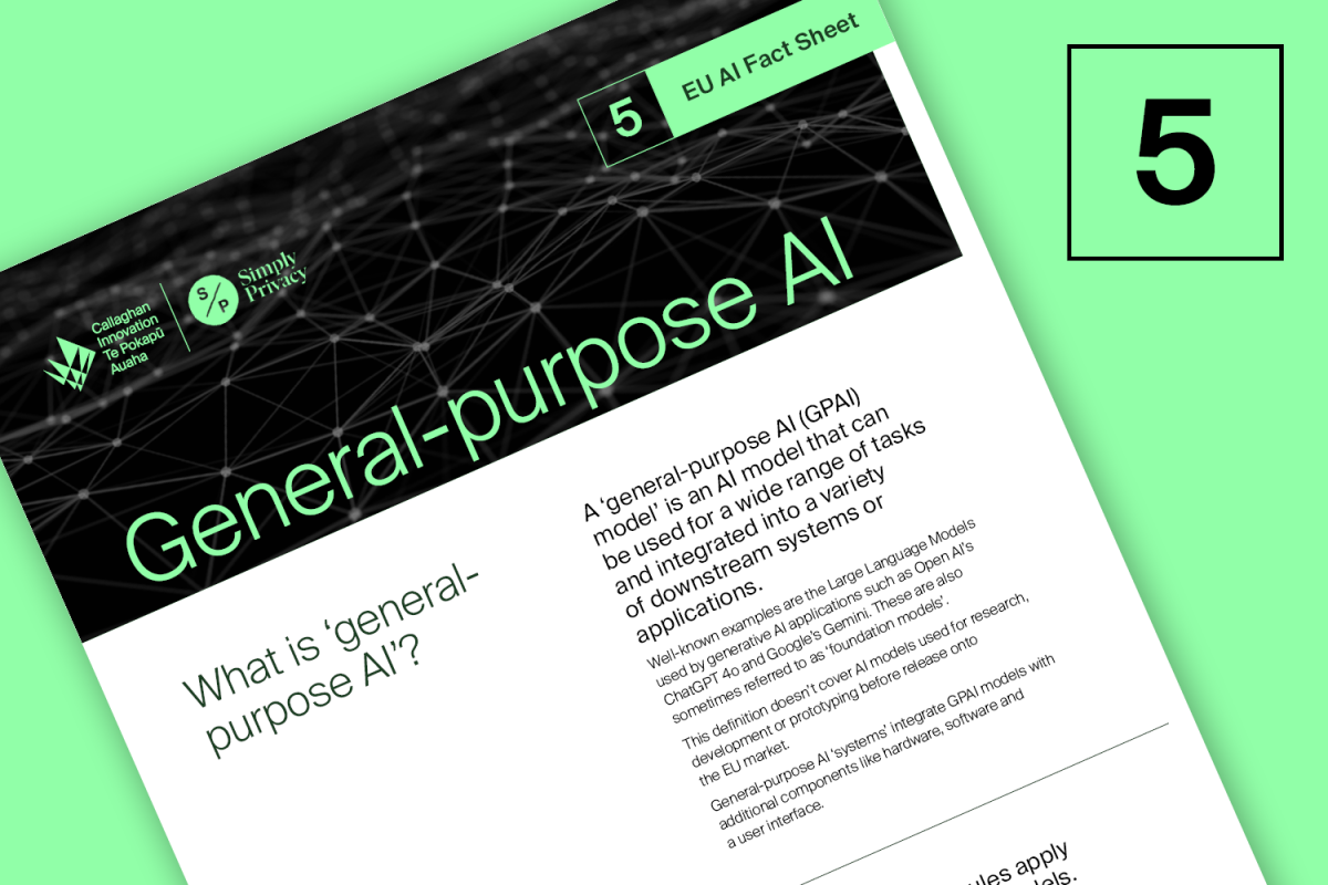 EU AI Fact Sheet thumbnail 5