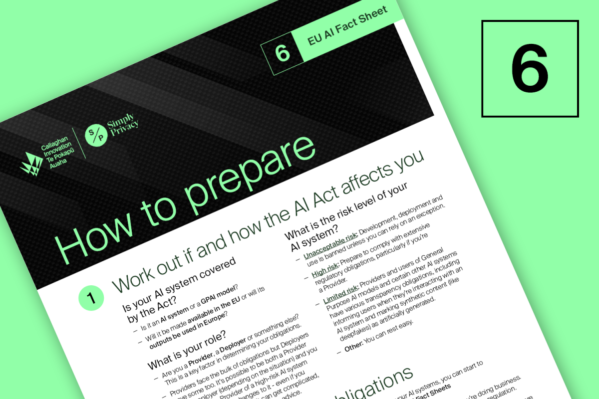 EU AI Fact Sheet thumbnail 6